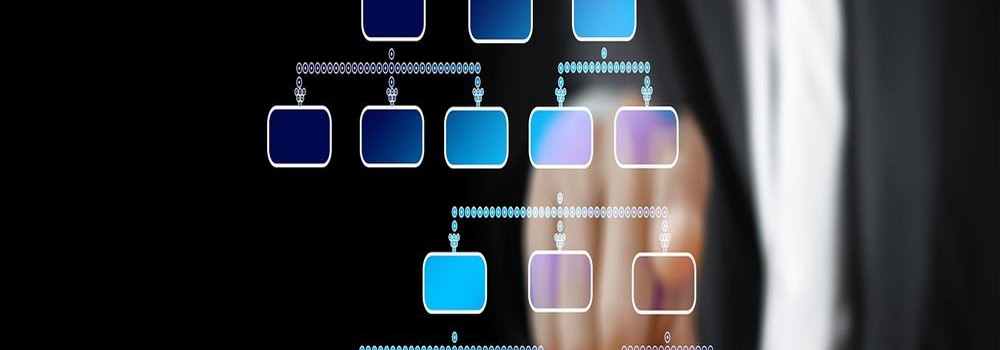 Horizontal or Flat Organizational Structures