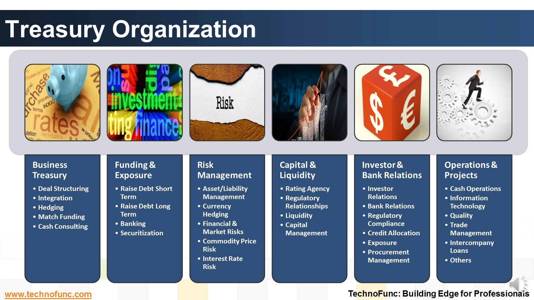 technofunc-treasury-organization