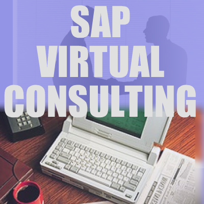 virtual_sap