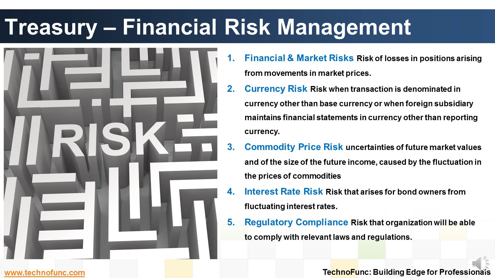 Financial Risk Management