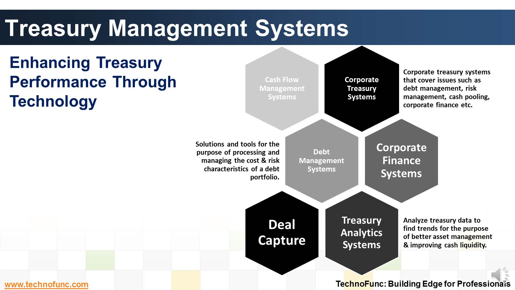 TechnoFunc Treasury Management