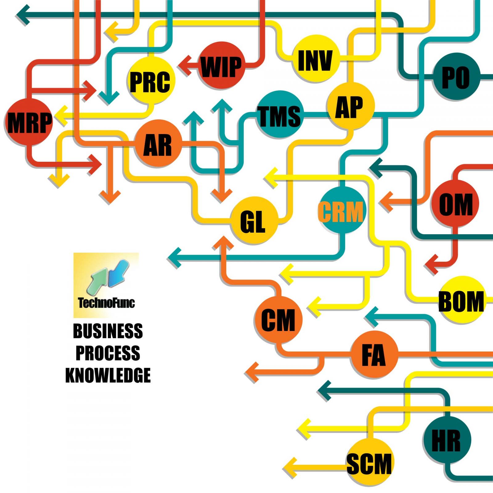 TechnoFunc - TechnoFunc's Process & Industry Domain Skills